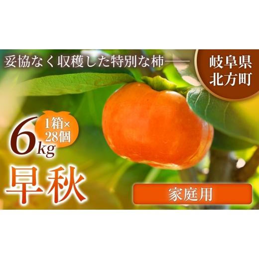 ふるさと納税 果物類 柿 岐阜県 北方町 家庭用 早秋 柿 28個/6kg ( 1箱 ) 先行予約 令和8年10月中旬順次発送 | 希少柿を贅沢に楽しむ 柿 早秋 フルーツ 果物…