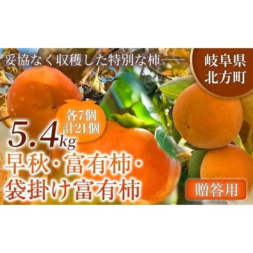 ふるさと納税 果物類 柿 岐阜県 北方町 定期便 3回 特選 銘柿リレー便 贈答用 早秋 富有柿 ( 各7個 / 1.8kg )| 選び抜かれた柿だけを贈る 柿 フルーツ 果物 …