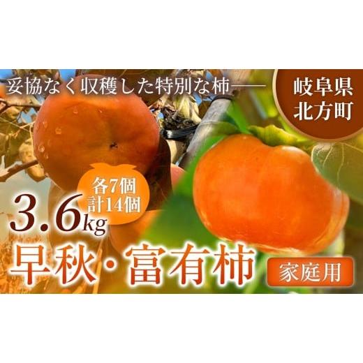 ふるさと納税 果物類 柿 岐阜県 北方町 全2回 定期便 旬柿 リレー便 家庭用 早秋 富有柿 ( 各7個 / 1.8kg )| 人気の銘柿を贅沢に食べ比べ 柿 フルーツ 果物 …