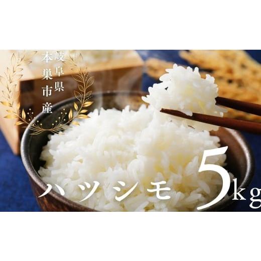 ふるさと納税 米 コシヒカリ 岐阜県 本巣市 無洗米 令和7年産 はつしも 5kg 米 ハツシモ こめ ごはん 白米 岐阜県 本巣市 お米 無洗米 甘い 和食 寿司 お茶漬…