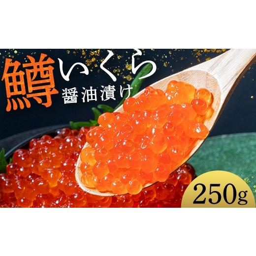 ふるさと納税 いくら 北海道 釧路市 鱒いくら醤油漬け 250g パック 小分け 海鮮 魚介 グルメ 魚卵 人気 ご飯のお供 ごはん 米 いくら丼 ギフト 年末年始 北海…の画像