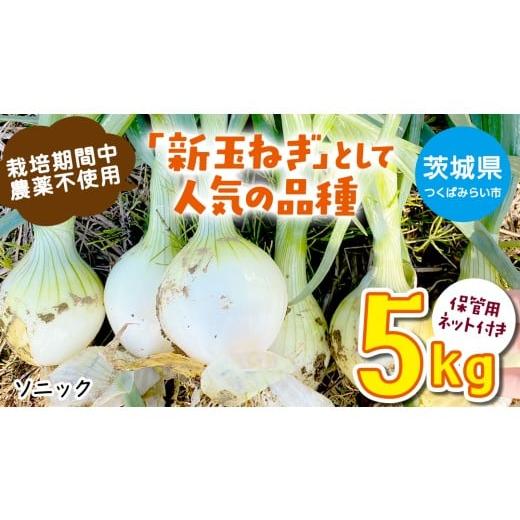 ふるさと納税 ねぎ・玉ねぎ 茨城県 つくばみらい市 先行予約 つくばみらい市産 たまねぎ 5kg ( ソニック ) 保管に便利な貯蔵ネット付 2026年6月より発送開始 …