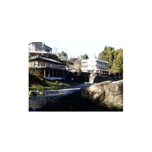 ふるさと納税 パッケージ旅行 東京都 あきる野市 施設利用券(10,000円) 1710308