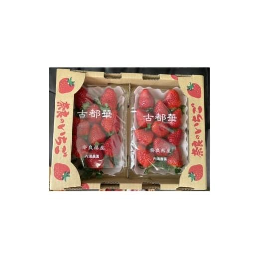 ふるさと納税 いちご 奈良県 天理市 内浦いちご農園 古都華 270g×2パック 1693515