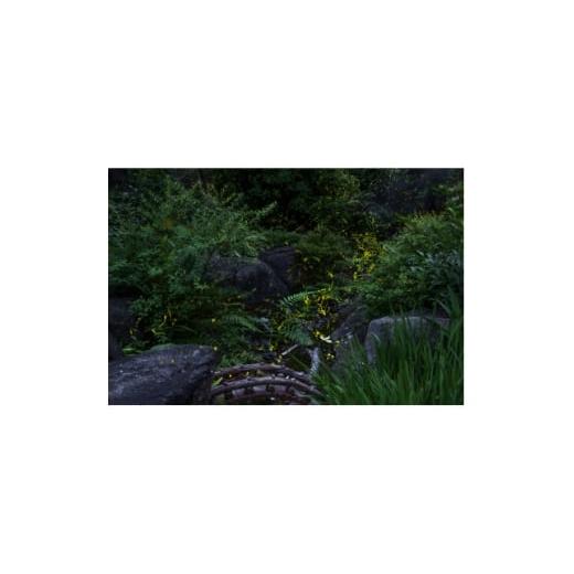 ふるさと納税 家具 奈良県 天理市 天理の風景5『 THE GARDEN OF DELIGHT 』2Lメタルグラフィックアート 1714783