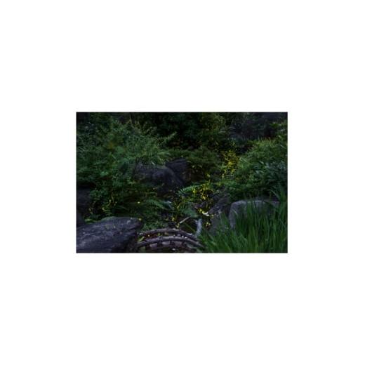 ふるさと納税 家具 奈良県 天理市 天理の風景5『 THE GARDEN OF DELIGHT 』A4額装プリント 1714816