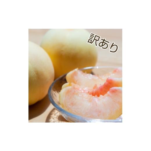 ふるさと納税 もも 岡山県 美作市 2026年7月中旬より順次発送予定 岡山の桃 品種おまかせ『訳あり桃』 2kg箱(約6〜9玉入り) 1715289