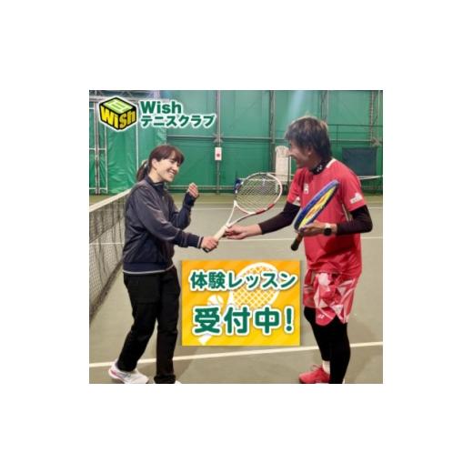 ふるさと納税 体験チケット 静岡県 磐田市 初級者向け 世界マスターズランキングトップ10入りプロによるテニスパーソナルレッスン(1回分) 1706589