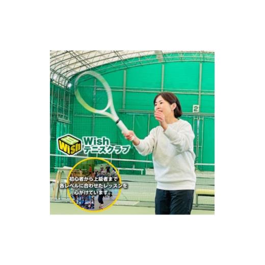 ふるさと納税 体験チケット 静岡県 磐田市 中級者向け 世界マスターズランキングトップ10入りプロによるテニスパーソナルレッスン(1回分) 1706590