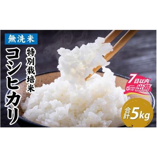 ふるさと納税 米 コシヒカリ 福井県 福井市 令和7年産 無洗米 特別栽培米 福井県産コシヒカリ 5kg A-020031 / 白米 無洗米 こめ コメ 米 有機適合肥料100% 5…