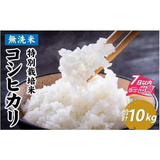 ふるさと納税 米 コシヒカリ 福井県 福井市 令和7年産 無洗米 特別栽培米 福井県産コシヒカリ 10kg (5kg×2袋) C-020032 / 白米 無洗米 こめ コメ 米 有機適…