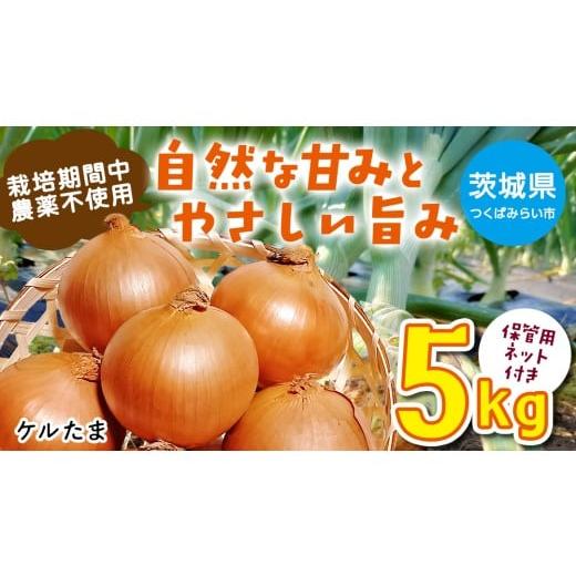 ふるさと納税 ねぎ・玉ねぎ 茨城県 つくばみらい市 先行予約 つくばみらい市産 たまねぎ 5kg ( ケルたま ) 保管に便利な貯蔵ネット付 2026年6月より発送開始 …