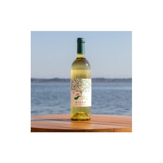 ふるさと納税 ワイン 白ワイン 茨城県 かすみがうら市 KLEMA 立花ブドウ園 巨峰 2025 白ワイン 750ml×1本 1704016