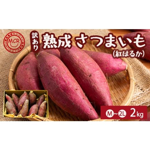 ふるさと納税 野菜類 サツマイモ 京都府 舞鶴市 1月以降発送 訳あり 舞鶴産 熟成さつまいも 2kg (紅はるか) 無選別 M〜2L混合 R7年度産 | サツマイモ 完熟 …