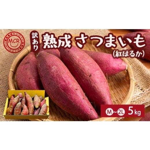 ふるさと納税 野菜類 サツマイモ 京都府 舞鶴市 1月以降発送 訳あり 舞鶴産 熟成さつまいも 5kg (紅はるか) 無選別 M〜2L混合 R7年度産 | 紅はるか さつま…