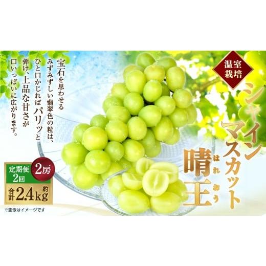 ふるさと納税 ぶどう マスカット 岡山県 倉敷市 HS 2回定期便 温室 シャインマスカット 晴王 2房(合計約1.2kg) 2026年7月上旬〜8月下旬発送予定 マスカット…