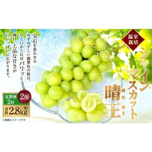 ふるさと納税 ぶどう マスカット 岡山県 倉敷市 HS 2回定期便 温室 シャインマスカット 晴王 2房(合計約1.4kg) 2026年7月上旬〜8月下旬 マスカット 葡萄 ぶ…