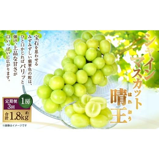 ふるさと納税 ぶどう マスカット 岡山県 倉敷市 HS 3回定期便 温室・露地 シャインマスカット 晴王 1房 約600g 2026年7月上旬〜9月下旬発送予定 マスカット …