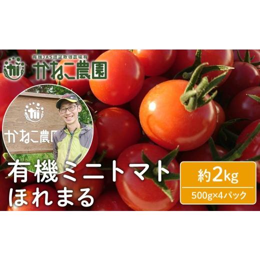 ふるさと納税 トマト ミニトマト 北海道 千歳市 2026年7月下旬より発送 甘さに惚れる 北海道千歳産 有機栽培ミニトマト 「ほれまる」 2kg(500gパック*4) …