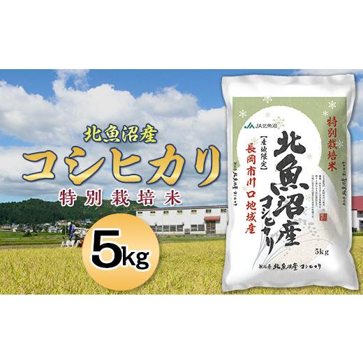 ふるさと納税 米 コシヒカリ 新潟県 長岡市 7T05A-1北魚沼産コシヒカリ特別栽培米5kg(長岡川口地域) 2026年5月発送 発送時期:2026年5月 寄附額:19,000円