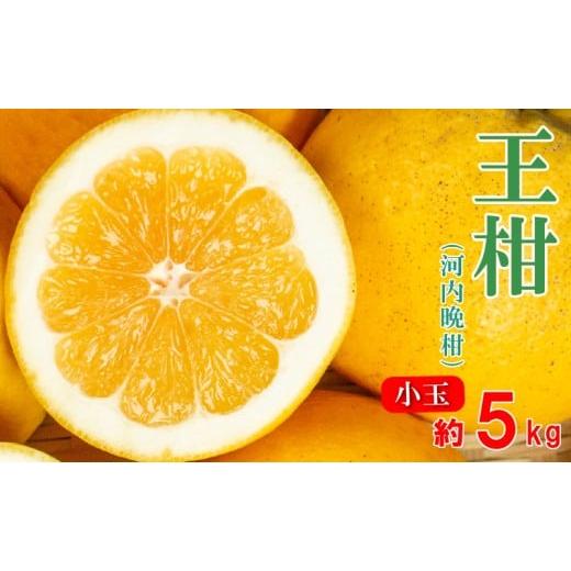ふるさと納税 みかん・柑橘類 愛媛県 愛南町 河内晩柑 王柑 小玉 5kg サイズミックス (S〜2S) 柑橘 みかん 愛南ゴールド 河内晩柑 晩柑 和製 グレープフルーツ…