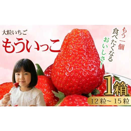 ふるさと納税 いちご 千葉県 銚子市 もういっこ いちご 銚子産 大粒 苺 イチゴ 2027年1月下旬〜4月下旬頃発送 先行予約 農園直送 直売所 直送 もういっこ 食べ…