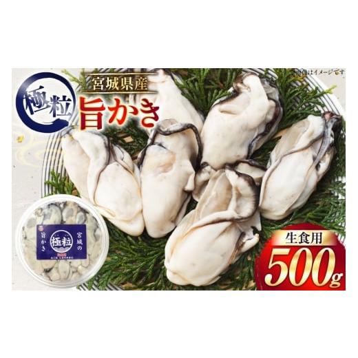 ふるさと納税 牡蠣 生牡蠣 宮城県 南三陸町 期間限定発送 宮城県産 むき身 極粒旨かき 生食用 500g ×1p 丸壽阿部商店 宮城県 南三陸町 m304bir010001 かき …