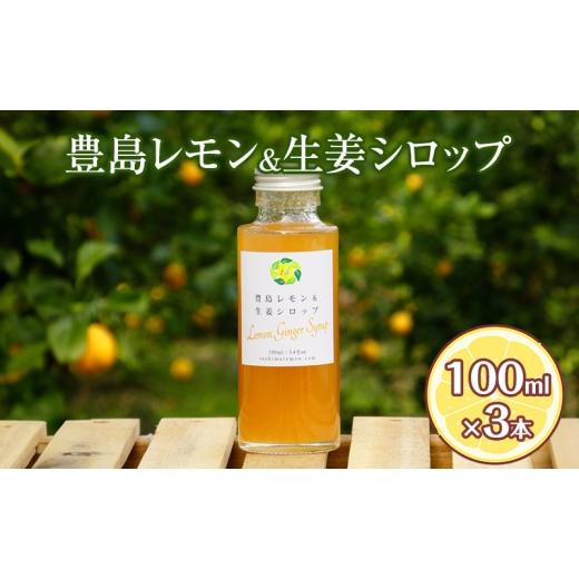 ふるさと納税 加工品等 香川県 土庄町 豊島レモン&生姜シロップ 100ml×3本 果物類 柑橘類 檸檬 シロップ