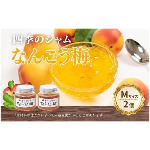 ふるさと納税 ジャム 長野県 上田市 なんこう梅(M)2個セット ジャム 手作り セット 梅 朝食 軽食 上田市  