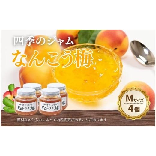 ふるさと納税 ジャム 長野県 上田市 なんこう梅(M)4個セット ジャム 手作り セット 梅 朝食 軽食 上田市  