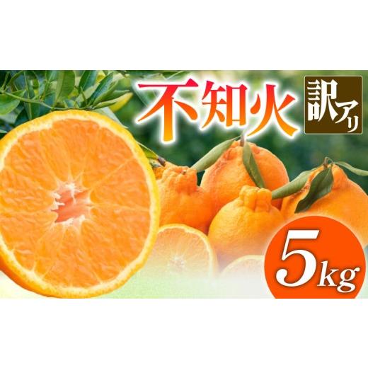 ふるさと納税 みかん・柑橘類 デコポン 徳島県 吉野川市 訳あり 不知火 しらぬい 5kg サイズ不揃い 家庭用 みかん 蜜柑 柑橘 果物 訳あり不知火 くだもの フル…