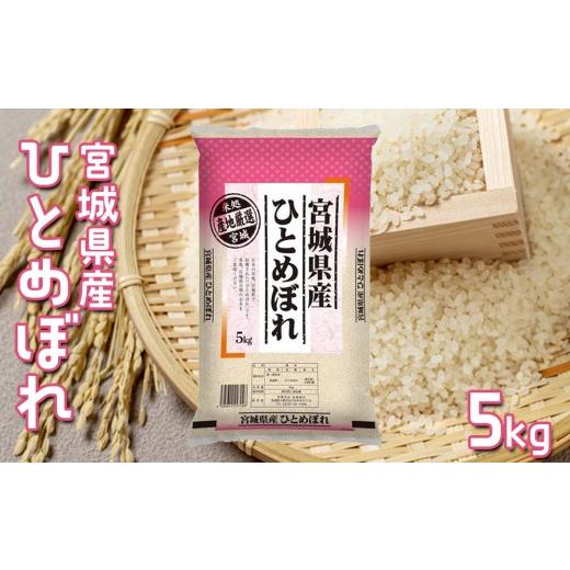 ふるさと納税 米 ひとめぼれ 宮城県 大崎市 令和7年産 宮城県産ひとめぼれ 5kg|ふっくら食感・バランスの良い味わい