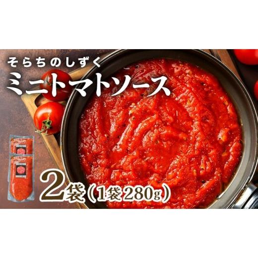 ふるさと納税 加工品等 北海道 岩見沢市 空知の恵みをギュッと凝縮 そらちのしずくトマトソース 2袋