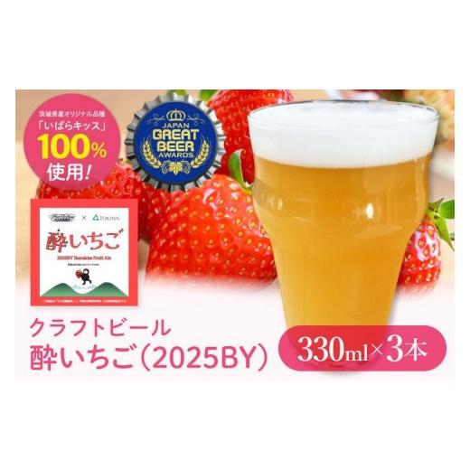 ふるさと納税 ビール 地ビール 茨城県 水戸市 ジャパン・グレートビア・アワーズ2026 銀賞受賞 数量限定 ぬりや クラフトビール 酔いちご(2025BY)330ml3本…