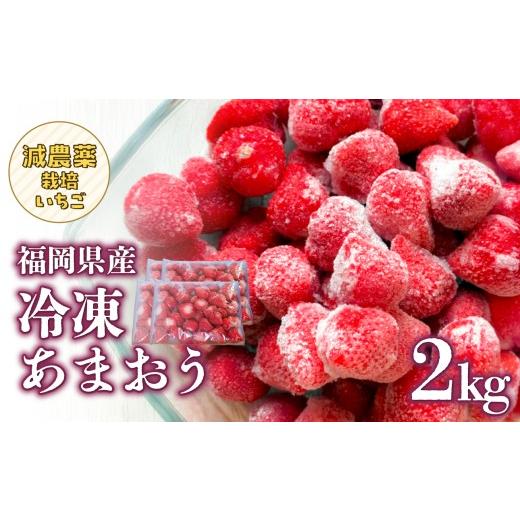ふるさと納税 いちご 福岡県 八女市 冷凍いちご 500g×4パック 大月いちご園 イチゴ 苺 あまおう 冷凍 2kg 大容量 果物 九州 国産 フルーツ スムージー ジャム…