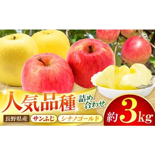 ふるさと納税 りんご 長野県 松本市 先行受付:11月発送 サンふじ・シナノゴールド詰め合わせ 3kg | サンふじ さんふじ シナノゴールド 詰め合わせ お得 甘…