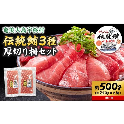 ふるさと納税 鮪 鹿児島県 宇検村 奄美大島 言い慣わし鮪 厚切り 中トロ（2柵 各250g）仕かける 柵 凝結 鮪 まぐろ 海鮮 刺し身 お刺身 さしみ 生食用 中トロ 鹿児…