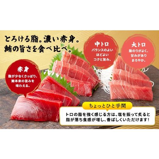 ふるさと納税 鮪 鹿児島県 宇検村 奄美大島 言い慣わし鮪 厚切り 中トロ（2柵 各250g）仕かける 柵 凝結 鮪 まぐろ 海鮮 刺し身 お刺身 さしみ 生食用 中トロ 鹿児…