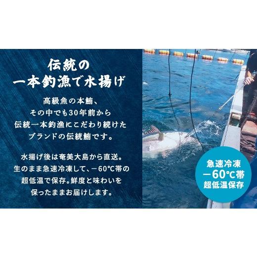 ふるさと納税 鮪 鹿児島県 宇検村 奄美大島 言い慣わし鮪 厚切り 中トロ（2柵 各250g）仕かける 柵 凝結 鮪 まぐろ 海鮮 刺し身 お刺身 さしみ 生食用 中トロ 鹿児…