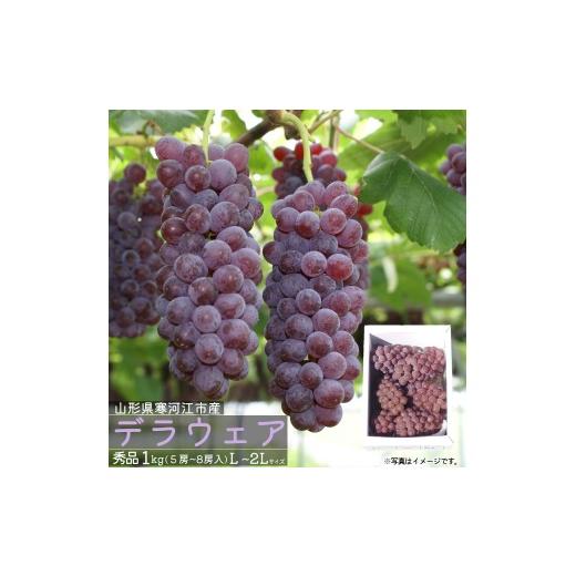 ふるさと納税 果物類 ぶどう 山形県 寒河江市 [先行予約] 令和8年産 種なし ぶどう デラウェア 秀品 1kg (L - 2Lサイズ) 山形県産 2026年7月下旬頃から8月上…