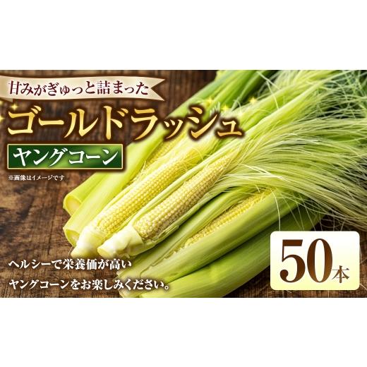 ふるさと納税 とうもろこし 山梨県 中央市 ゴールドラッシュ ヤングコーン 50本 野菜 やさい とうもろこし トウモロコシ 皮付きヤングコーン ヘルシー スイー…