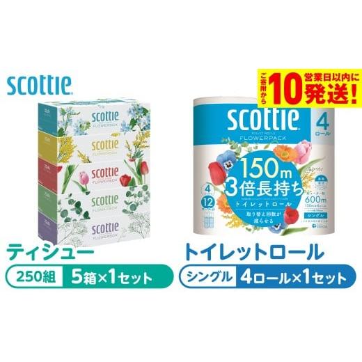 ふるさと納税 雑貨・日用品 熊本県 八代市 スコッティ 組み合わせ ティシュー フラワーボックス 250組 5箱 トイレットロール シングル フラワーパック 3倍長…
