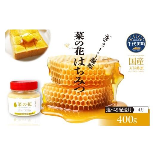 ふるさと納税 加工品等 はちみつ 群馬県 千代田町 2026年4月発送 はちみつ 千代田町の蜂蜜 400g 「菜の花」はちみつ 4月発送「菜の花」400g