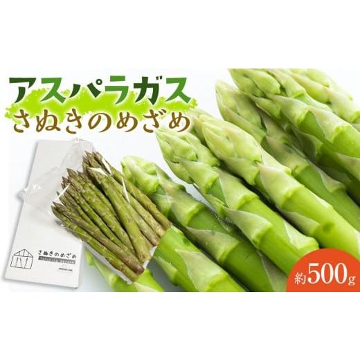 ふるさと納税 野菜類 アスパラガス 香川県 さぬき市 アスパラガス アスパラ さぬきのめざめ 約 500g 春芽|オリジナル品種 香川県 さぬき市