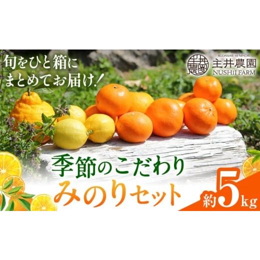 ふるさと納税 果物類 みかん 和歌山県 日高町 主井農園の季節のこだわりみのりセット 約5kg 主井農園[2月中旬-4月下旬頃出荷予定] 和歌山県 日高町 柑橘 み…
