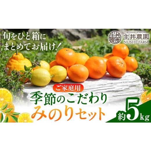 ふるさと納税 果物類 みかん 和歌山県 日高町 主井農園の季節のこだわりみのりセット ご家庭用 約 5kg 主井農園[2月中旬-4月下旬頃出荷予定] 和歌山県 日高…