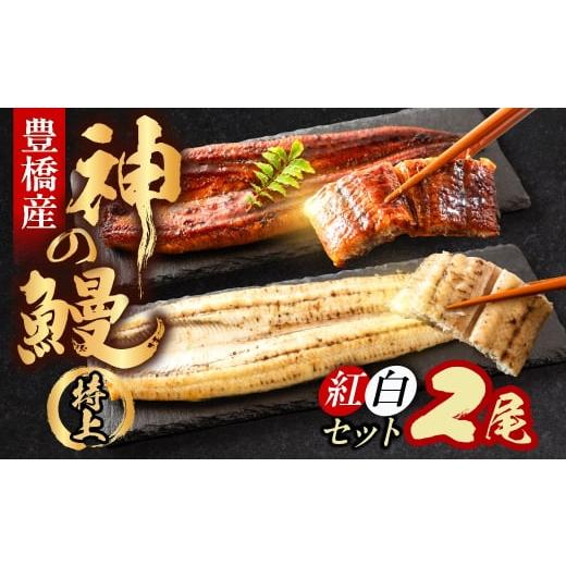 ふるさと納税 うなぎ 愛知県 豊橋市 7月25日指定 うなぎの新ブランド、開幕。『神の鰻』2尾 紅白セット 国産 特上 選べる お届け時期 鰻 うなぎ unagi ウナギ…