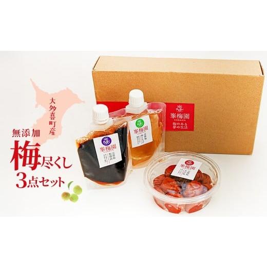ふるさと納税 加工品等 梅干 千葉県 大多喜町 大多喜町産 無添加梅尽くし3点セット ふるさと納税 梅 うめ 梅干し うめぼし 化学肥料不使用 無添加