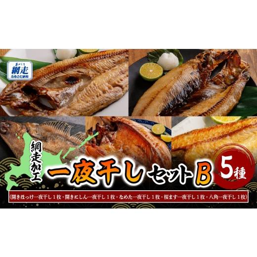ふるさと納税 干物 ホッケ 北海道 網走市 網走加工の一夜干しセット 5種B ふるさと納税 人気 おすすめ ランキング ほっけ ホッケ にしん 鰊 なめた 桜ます 八…