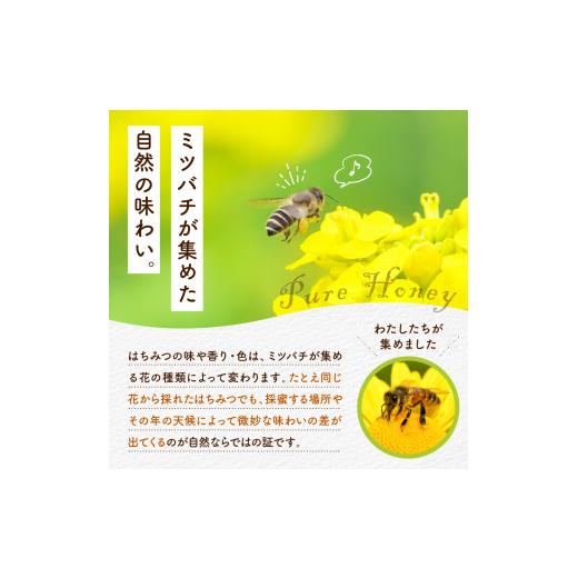 ふるさと納税 加工品等 はちみつ 群馬県 千代田町 《2026年5月発送》 はちみつ ／アカシア蜜 千代田町の蜂蜜 1,200g はちみつ 5月発送「アカシア」1,200gの画像